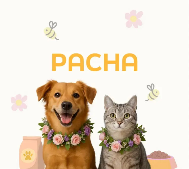 Project Pacha Mascotas